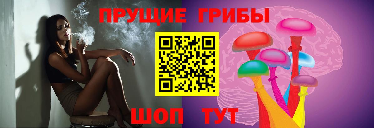 Галлюциногенные грибы Psilocybine cubensis Серов